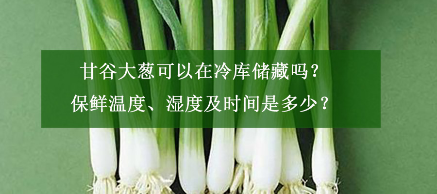 甘谷大蔥可以在冷庫儲藏嗎？保鮮溫度、濕度及時(shí)間是多少？