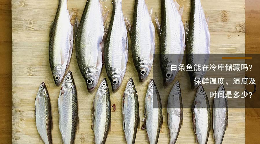 白條魚冷庫儲藏溫度、相對濕度及時間介紹