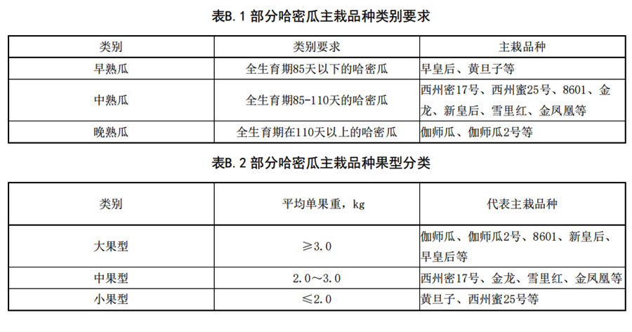 哈密瓜早、中、熟瓜和大中型瓜的分類要求