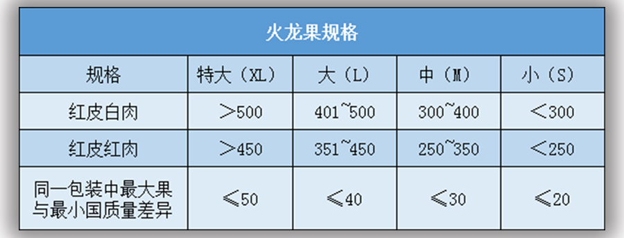 火龍果放冷庫前大小規(guī)格標(biāo)準(zhǔn)