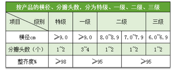 蘭州百合入冷庫前分級質量標準參考