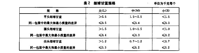 甘藍放冷庫前的規格標準