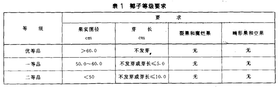 椰子等級劃分標準