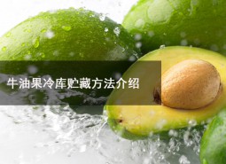 牛油果冷庫貯藏溫度為多少？可以在冷庫貯藏多長時(shí)間？-萬能制冷